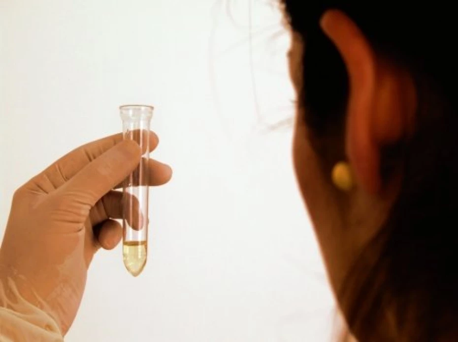 Foto 8:  — SACE - Serviços de Análises Clínicas Especializadas